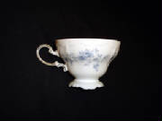 teacup1.jpg